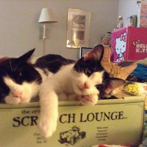 Meet your Posher, Tabrina